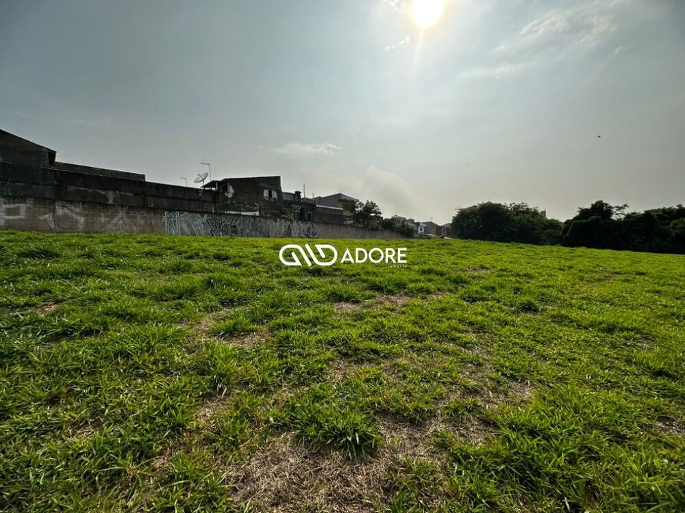 Terreno, 91 hectares - Foto 15