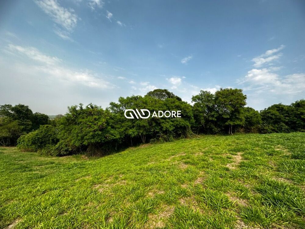 Terreno, 91 hectares - Foto 10