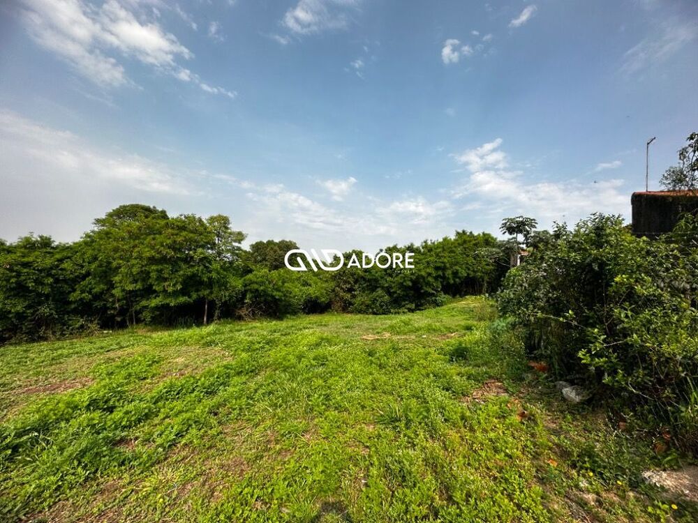Terreno, 91 hectares - Foto 12
