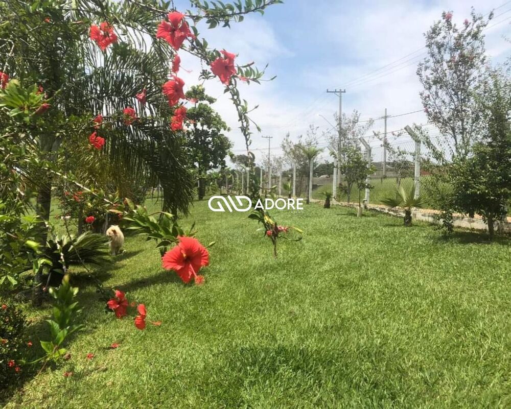 Chácara, 3 quartos, 2800 m² - Foto 1
