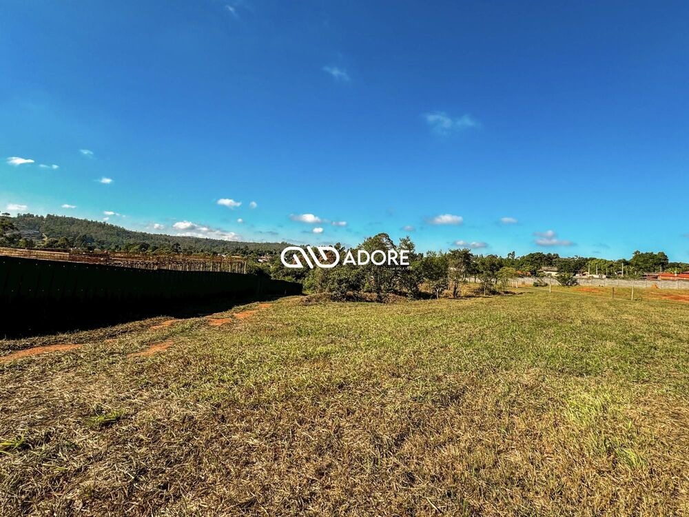 Terreno, 2295 m² - Foto 11