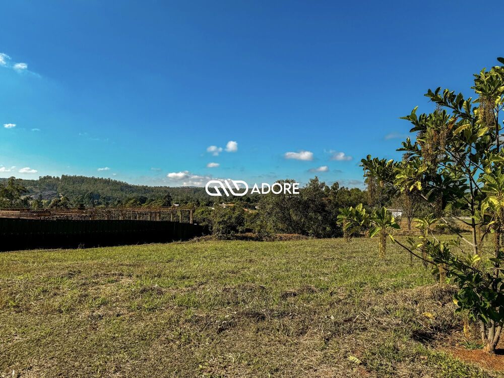 Terreno, 2295 m² - Foto 4