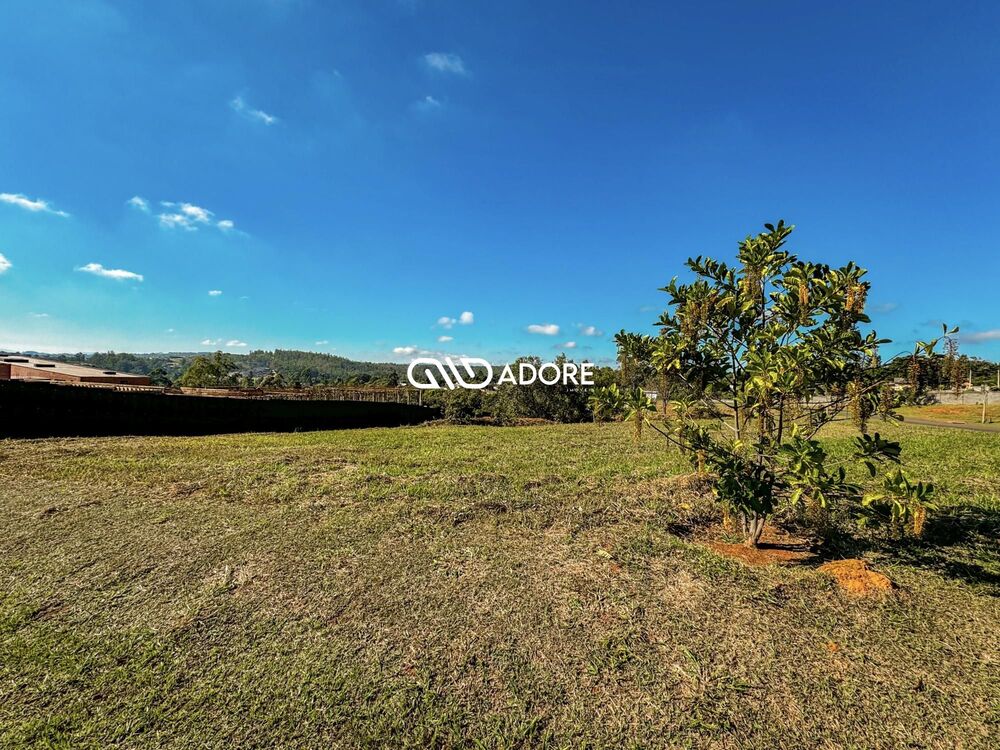 Terreno, 2295 m² - Foto 3