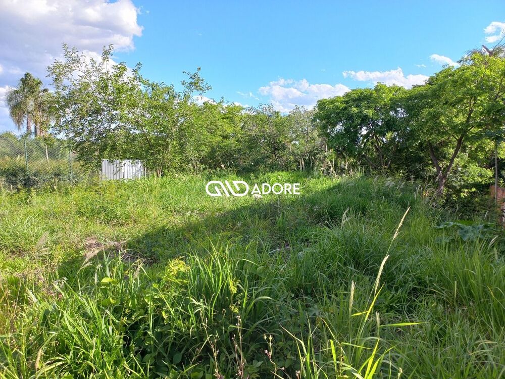 Terreno, 2800 m² - Foto 3