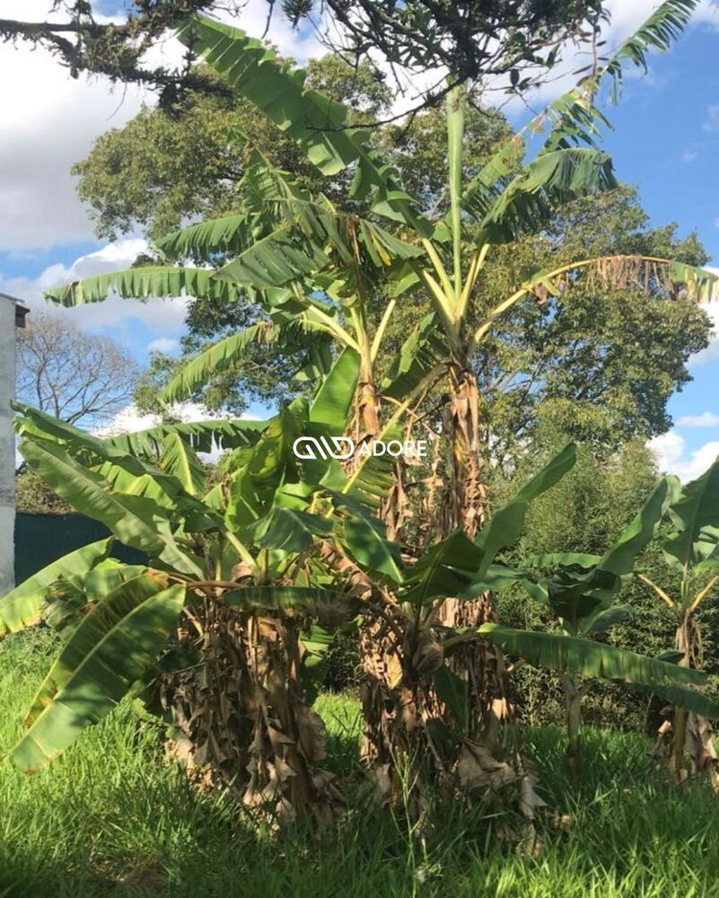 Terreno, 1020 m² - Foto 8