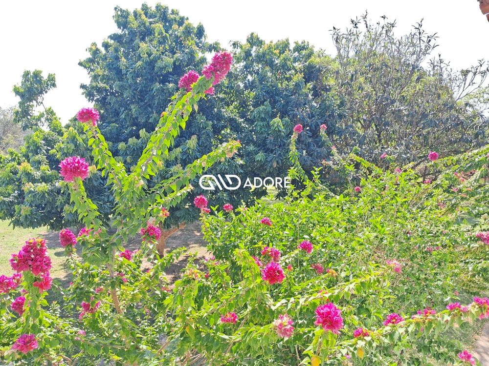 Casa de Condomínio, 5 quartos - Foto 15