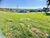 Terreno, 503 m² - Foto 3