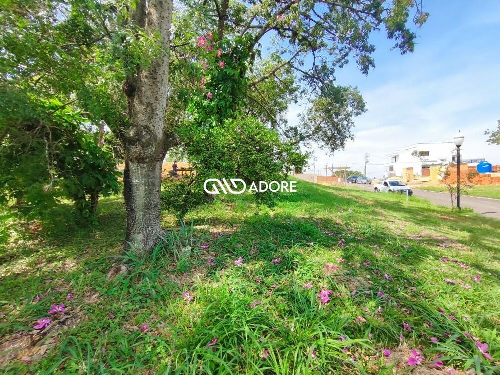 Terreno, 500 m² - Foto 5