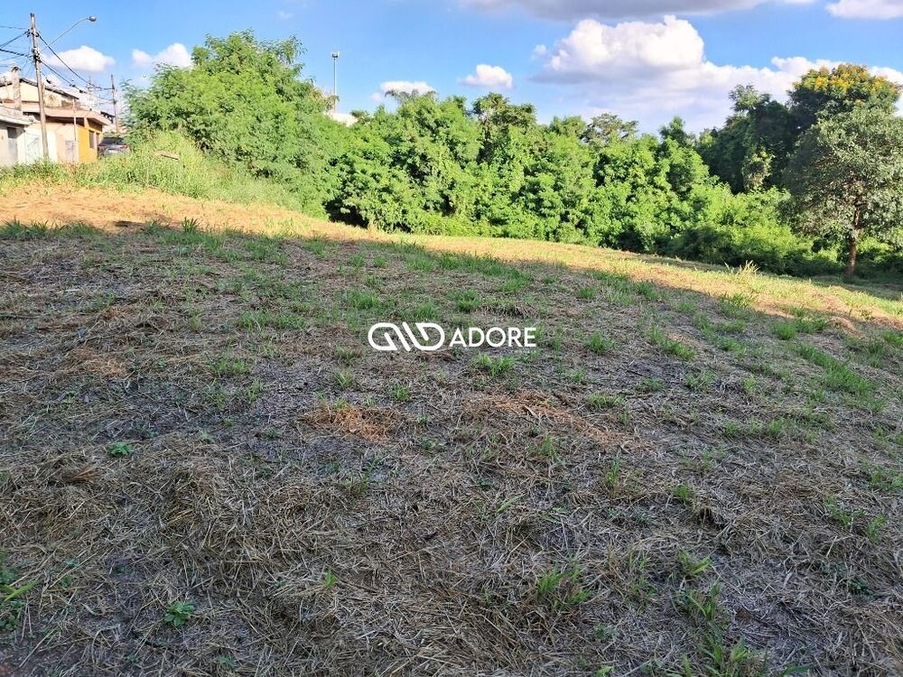 Terreno, 2432 m² - Foto 3