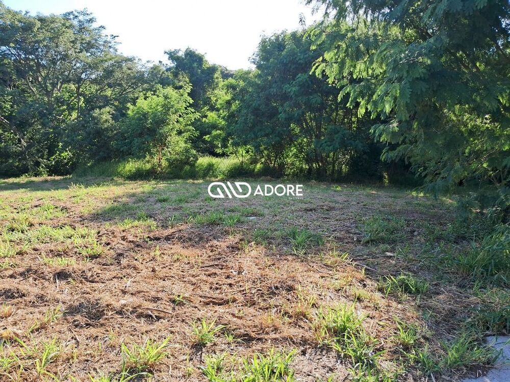 Terreno, 2432 m² - Foto 2