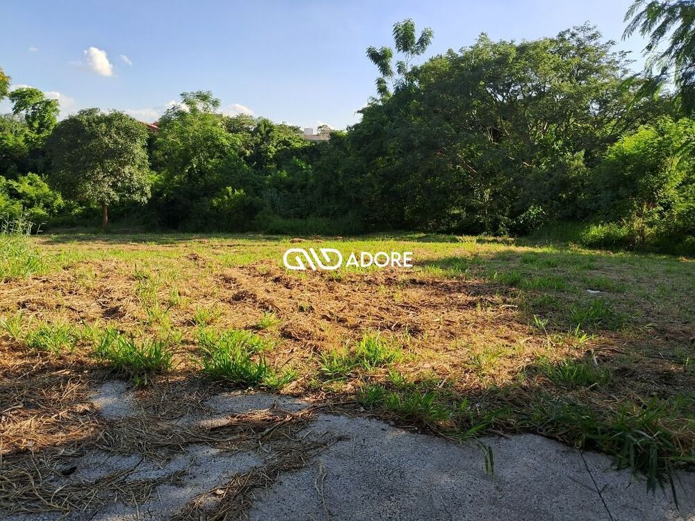 Terreno, 2432 m² - Foto 4