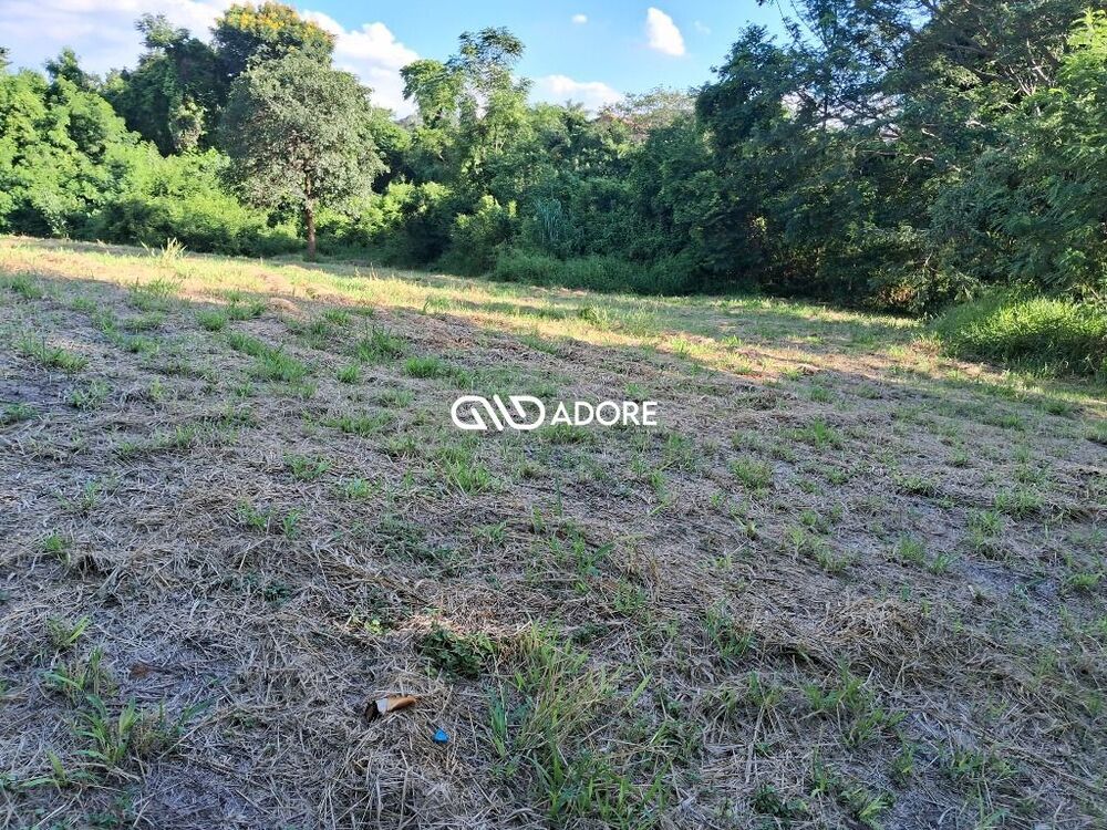 Terreno, 2432 m² - Foto 5