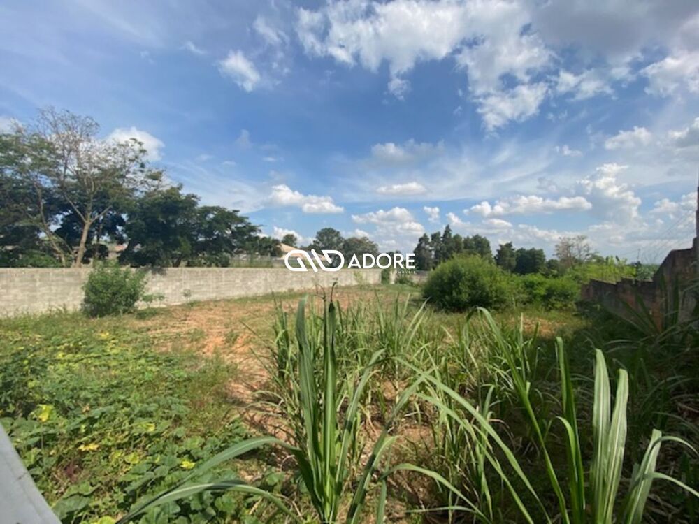Terreno, 1000 m² - Foto 3