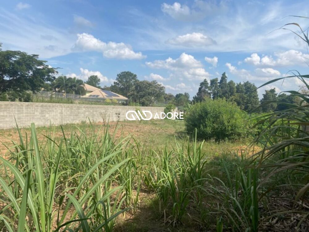 Terreno, 1000 m² - Foto 1