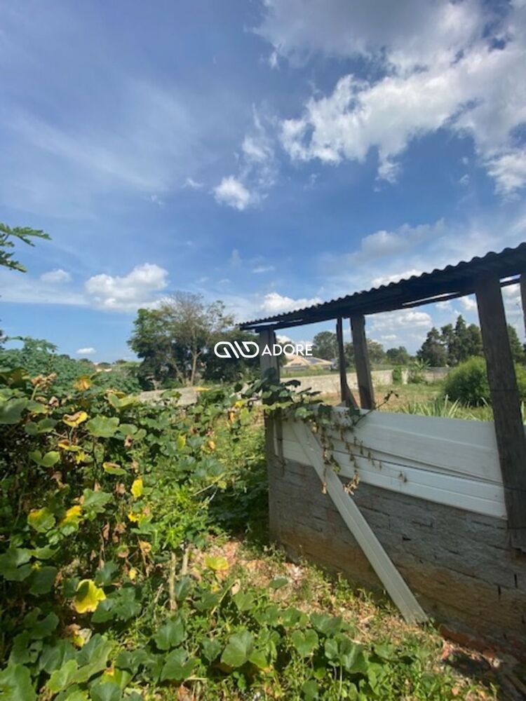Terreno, 1000 m² - Foto 4