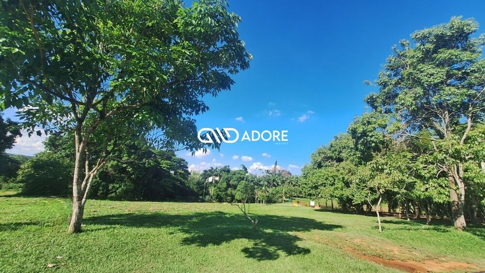 Terreno, 1606 m² - Foto 3