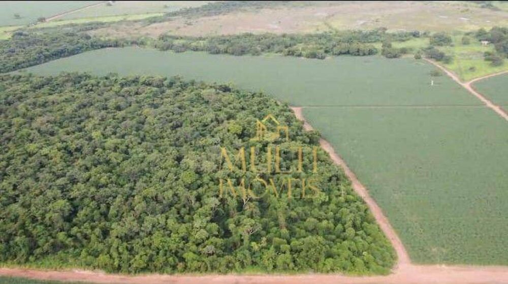 Fazenda, 207 hectares - Foto 1