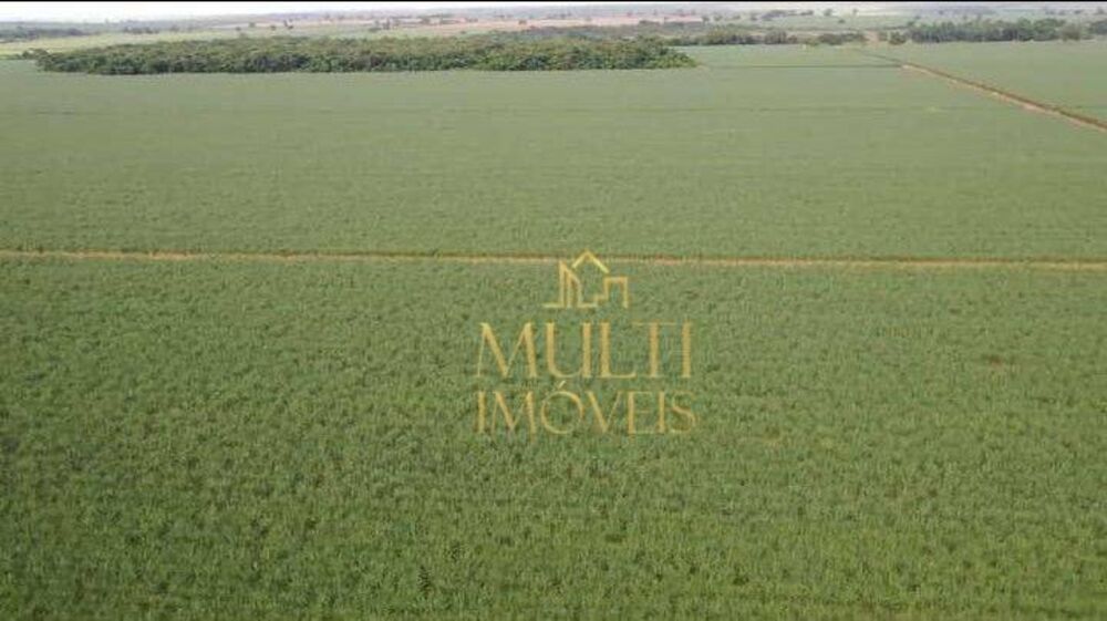 Fazenda, 207 hectares - Foto 4