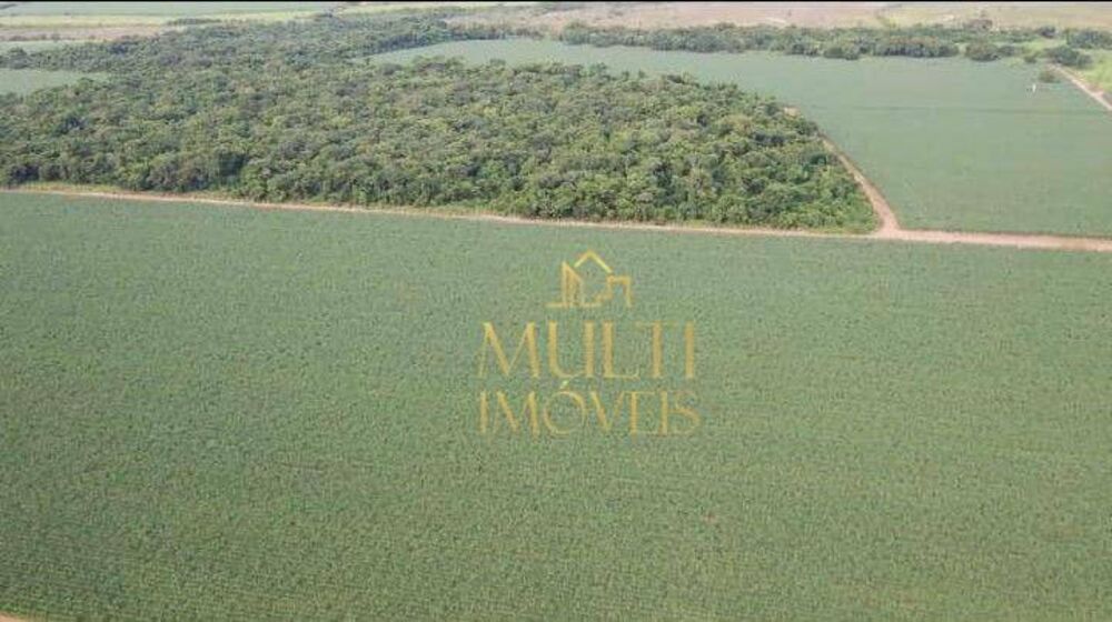 Fazenda, 207 hectares - Foto 3