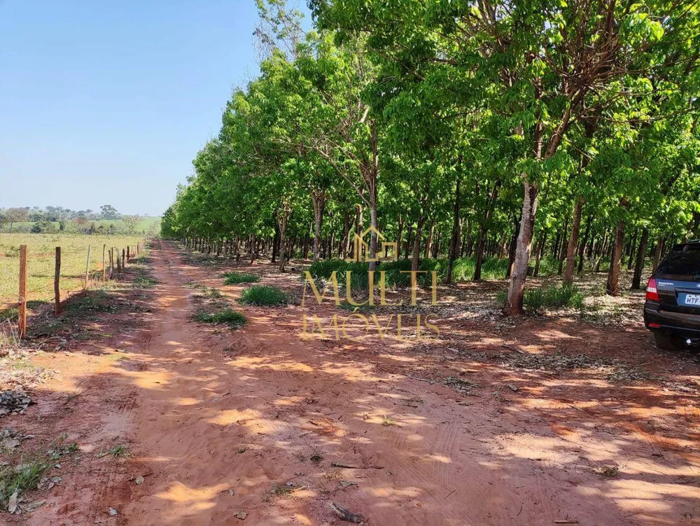 Sítio, 57 hectares - Foto 1