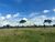 Fazenda, 484 hectares - Foto 2