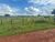 Fazenda-Sítio-Chácara, 484 hectares - Foto 10