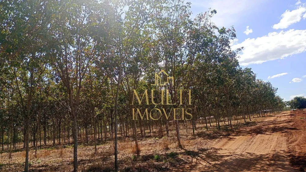 Fazenda, 254 hectares - Foto 1