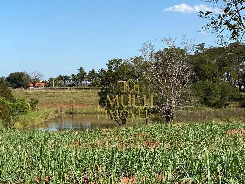 Fazenda, 56 hectares - Foto 1
