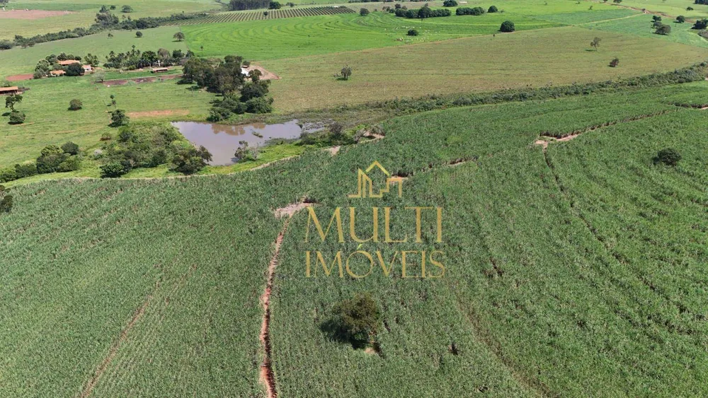 Fazenda, 56 hectares - Foto 4
