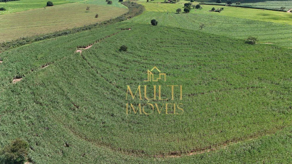 Fazenda, 56 hectares - Foto 3