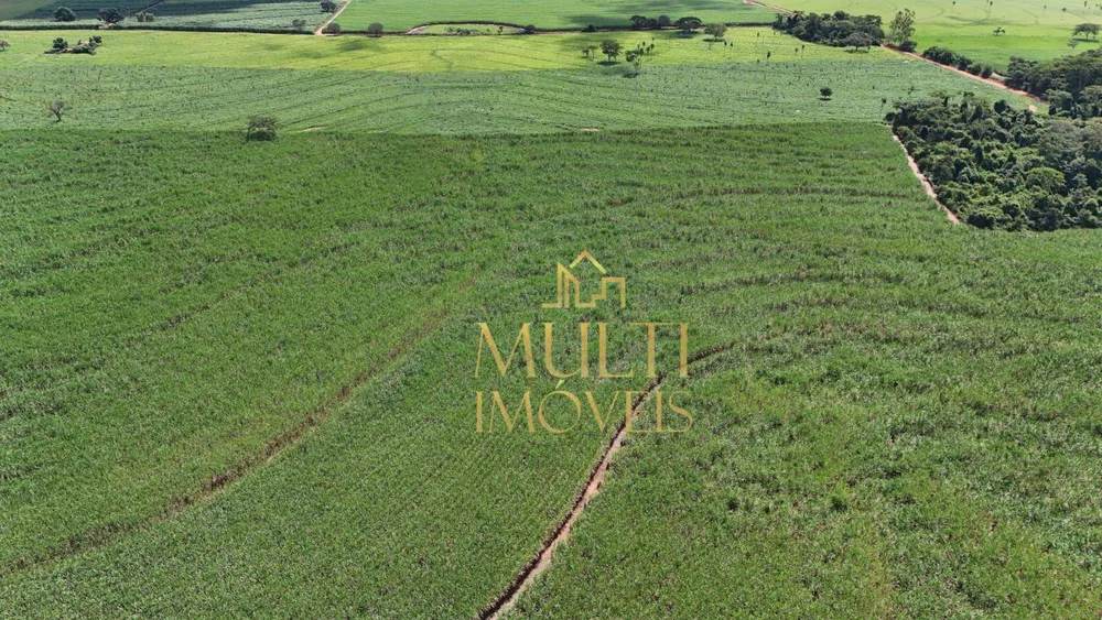 Fazenda, 56 hectares - Foto 2