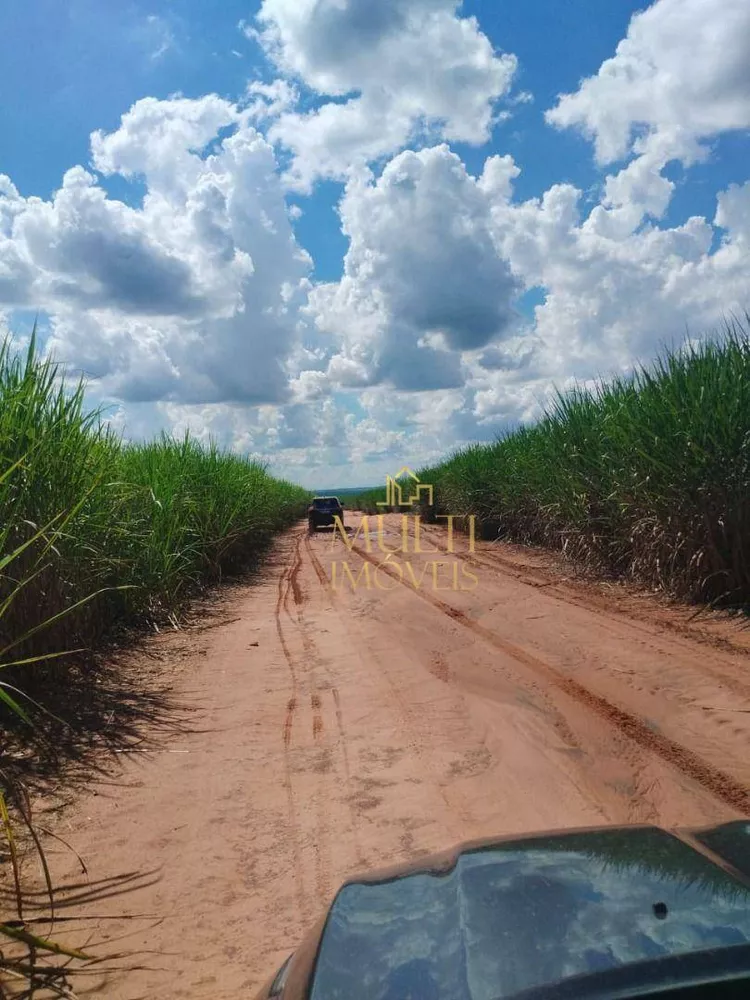 Fazenda, 823 hectares - Foto 3