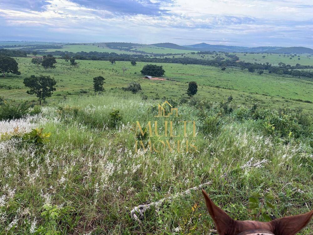 Fazenda, 1036 hectares - Foto 4