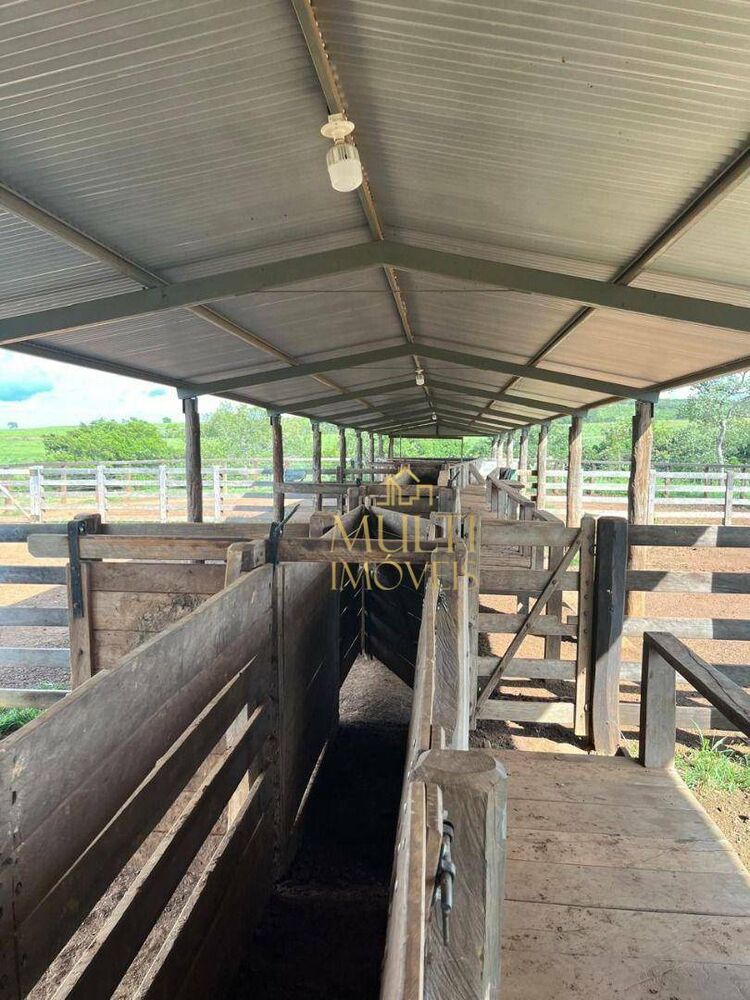 Fazenda, 1036 hectares - Foto 3