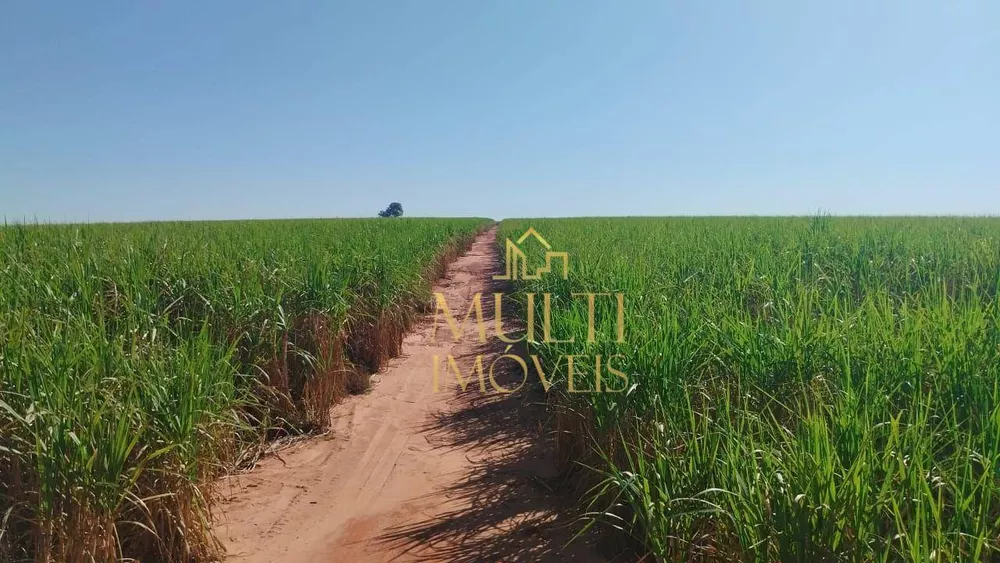 Fazenda, 286 hectares - Foto 1