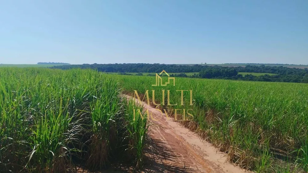 Fazenda, 286 hectares - Foto 3
