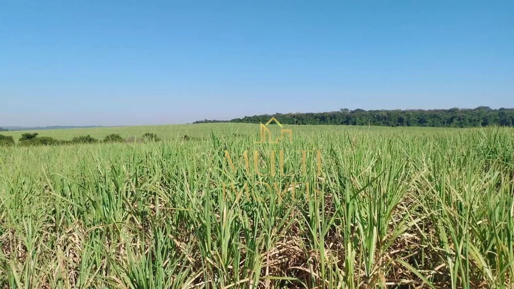 Fazenda, 286 hectares - Foto 2
