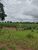 Fazenda, 59 hectares - Foto 2