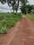 Fazenda, 59 hectares - Foto 4