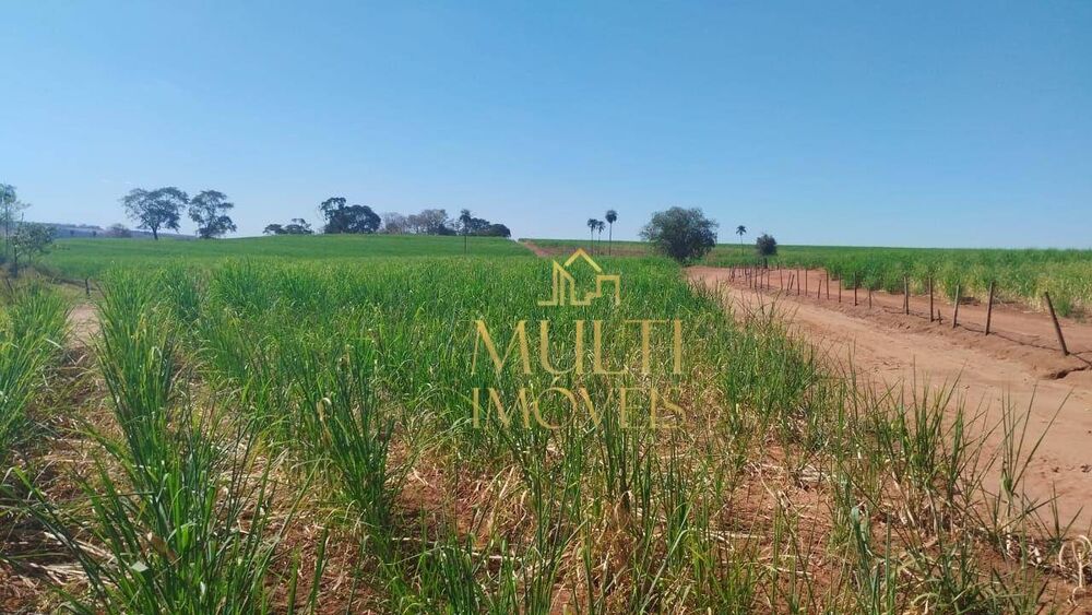 Fazenda, 121 hectares - Foto 1