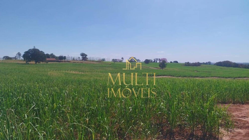 Fazenda, 121 hectares - Foto 3