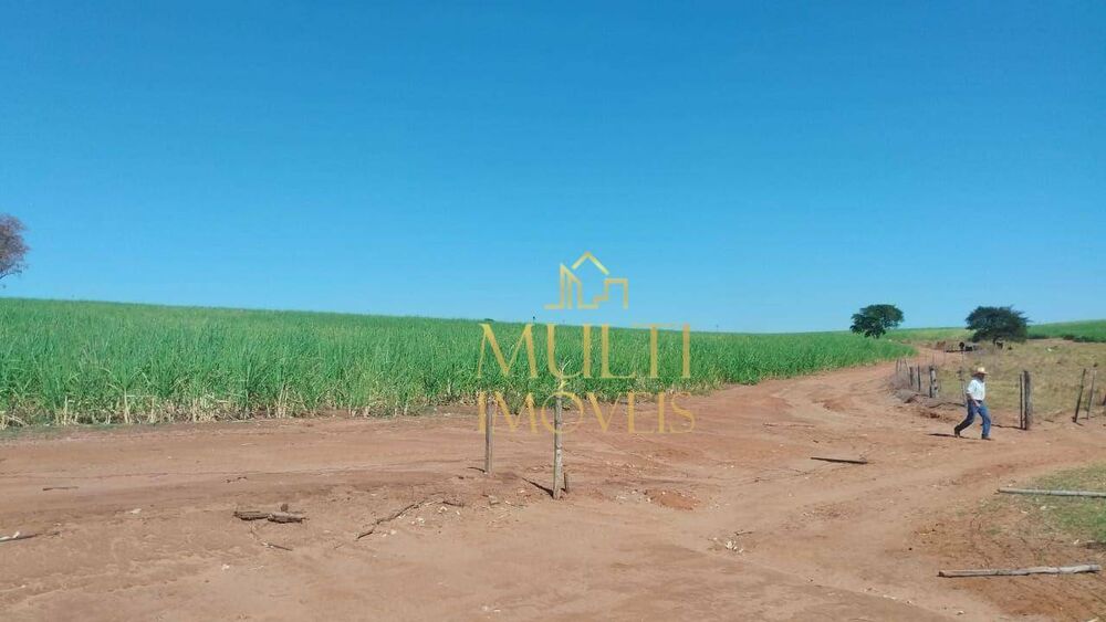 Fazenda, 121 hectares - Foto 2