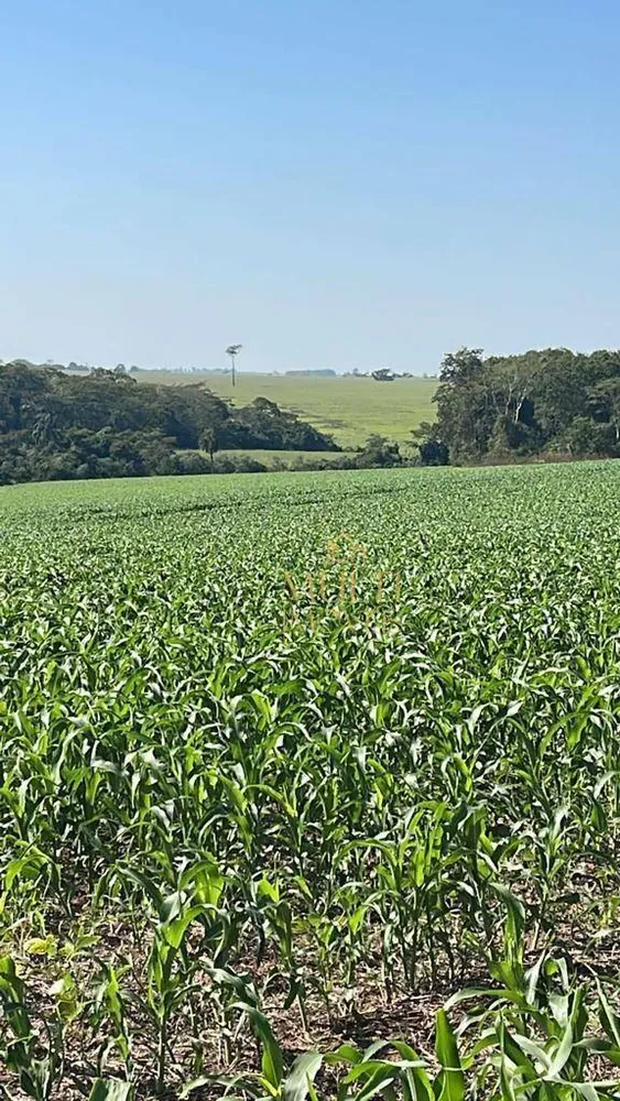 Fazenda, 152 hectares - Foto 1