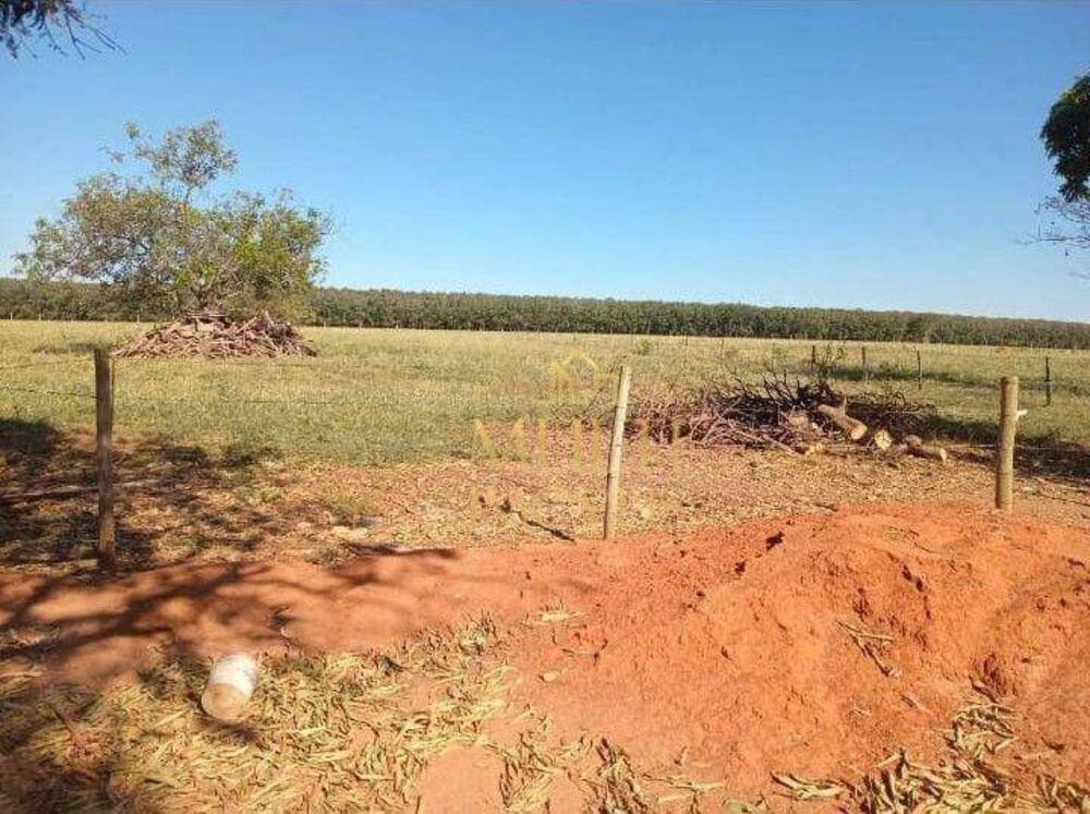 Sítio, 2 quartos, 18 hectares - Foto 4