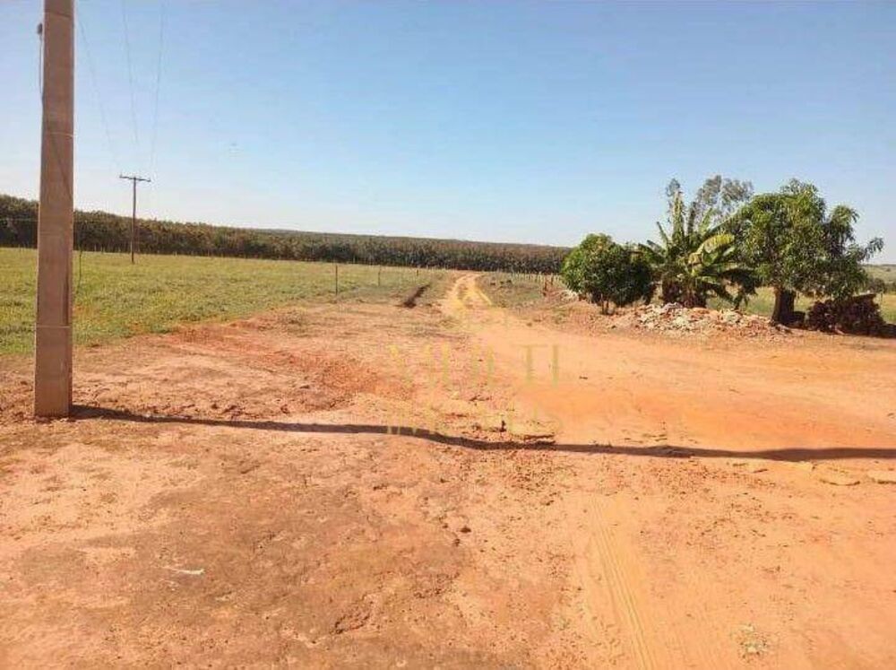 Sítio, 2 quartos, 18 hectares - Foto 2