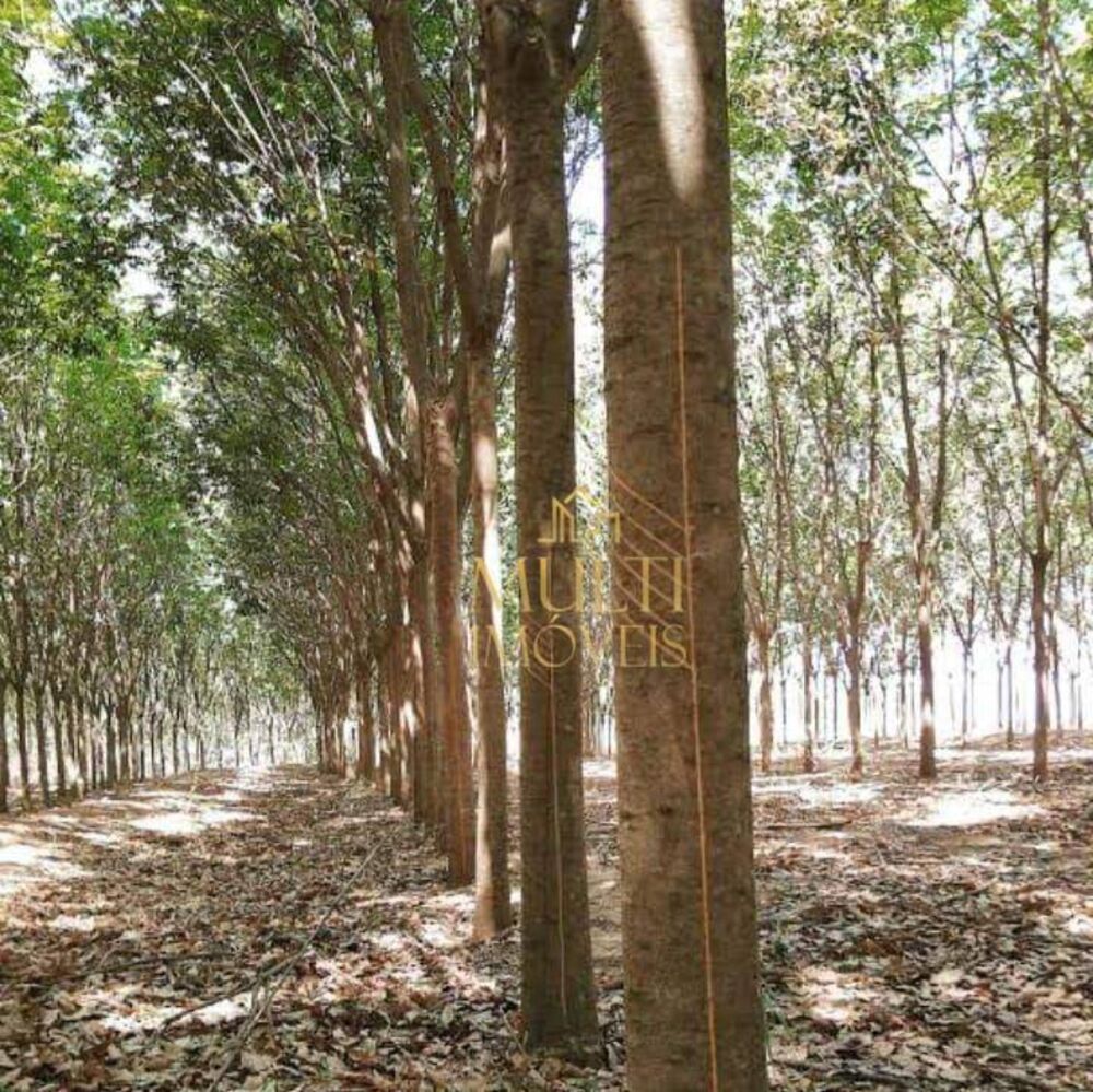 Fazenda, 44 hectares - Foto 1