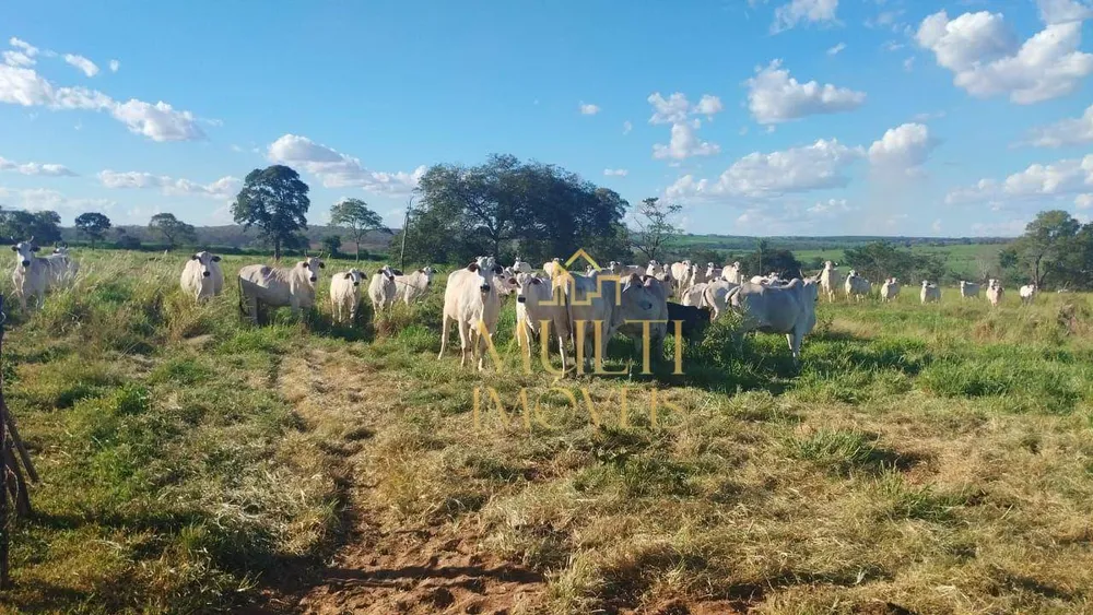 Sítio, 94 hectares - Foto 1