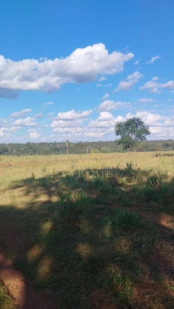 Sítio, 94 hectares - Foto 2