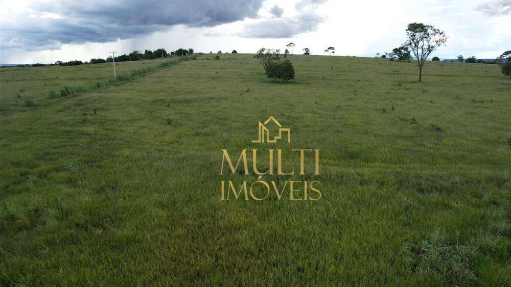 Fazenda-Sítio-Chácara, 317 hectares - Foto 1