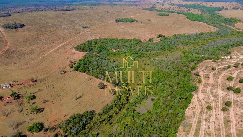 Fazenda, 975 hectares - Foto 13